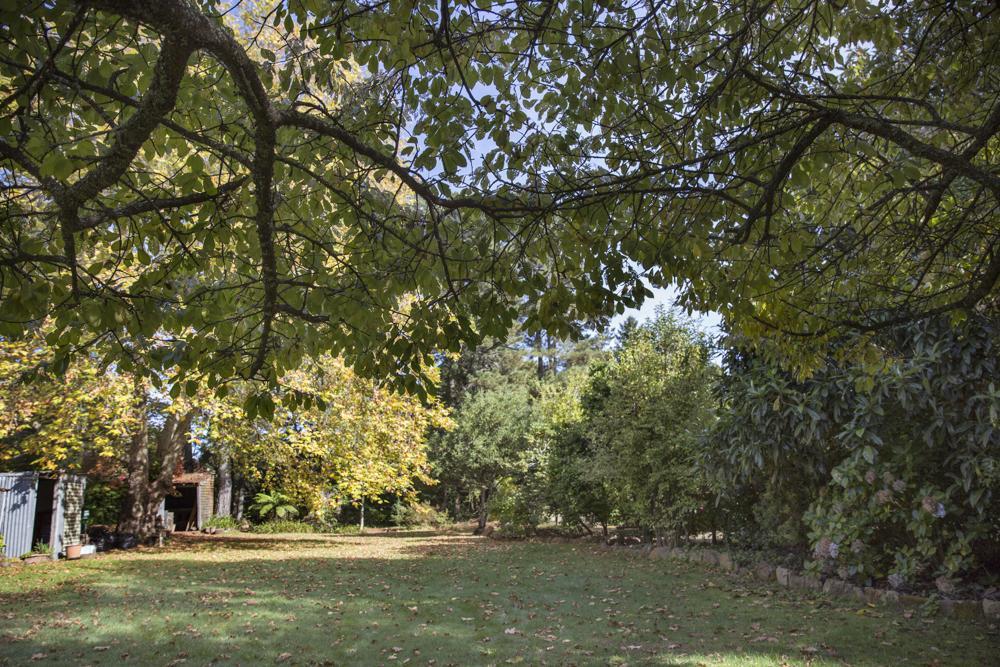 Secrets Hideaway Bed & Breakfast Blackheath Exterior foto